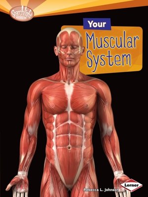 cover image of Your Muscular System